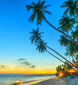 Cẩm nang du lịch HCM - Mũi Né cùng Xedichvutravel mới nhất